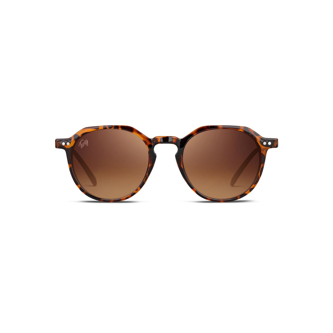 Twig Lunettes de soleil